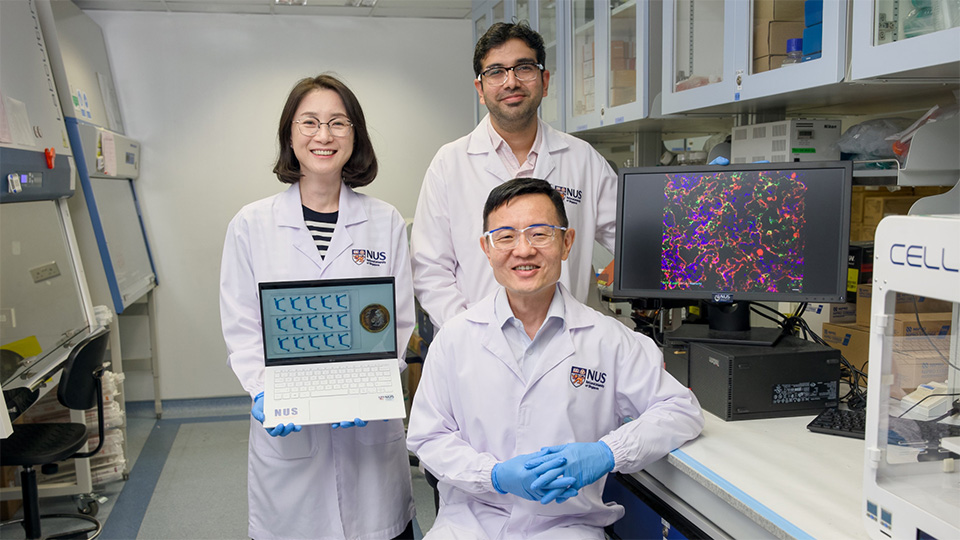 NUS scientists develop realistic ‘micro-gut’ model to study the relationship between gut microbes and human diseases