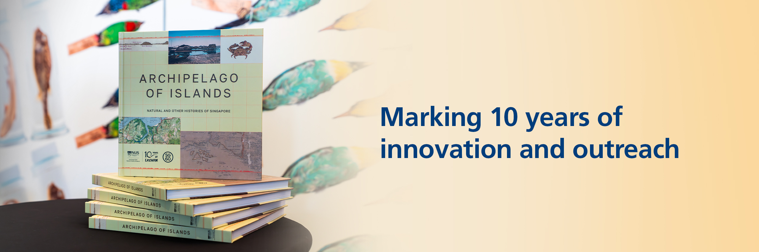 Marking 10 years of innovation and outreach 
