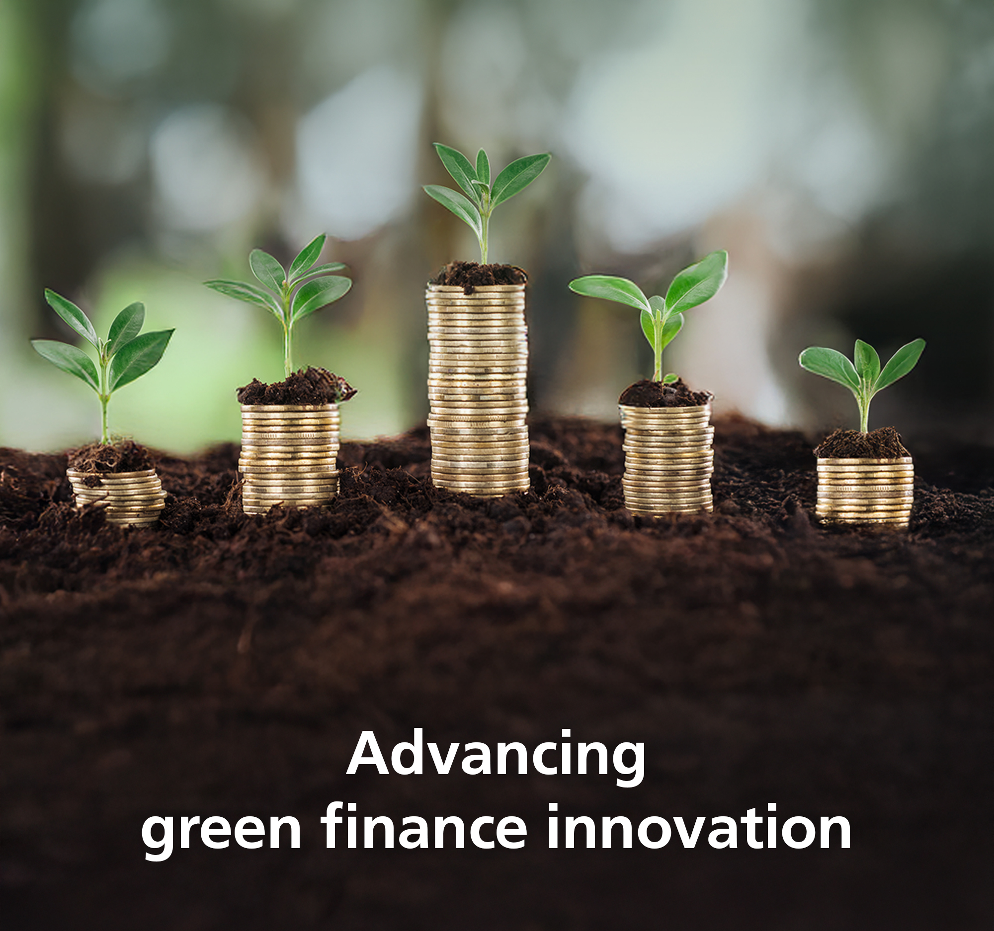 Advancing green finance innovation